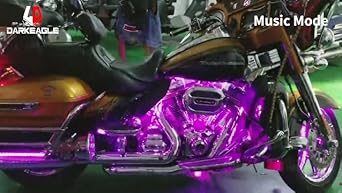 Amazon.com: LD DARKEAGLE 8PCS Segmented Motorcycle LED